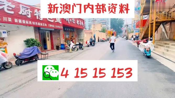 探索澳門彩票文化，2025新澳門天天開好彩大全正版展望，澳門彩票文化深度探索，2025年天天開彩展望